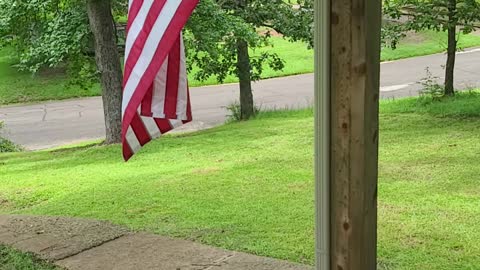 Proud Americans in Texas