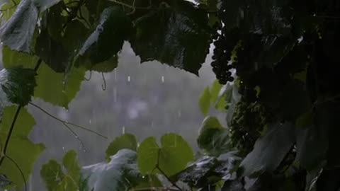 Raining best feelings moment