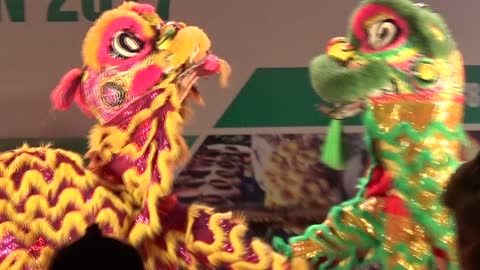 Very amazing Vietnammese folk lion dance