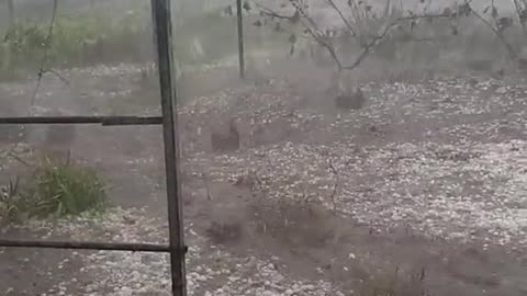 Huge Hail Falls From Storm Over Krasnodar