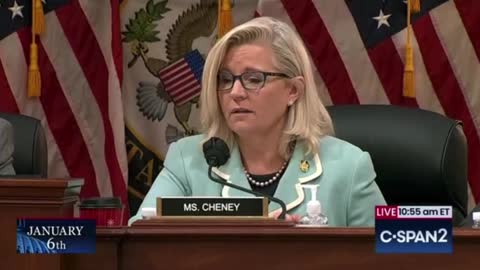 Liz Cheney claims that 2000 Mules has been debunked 😂
