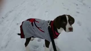 TUBBY LOVES HER FIRST WINTER