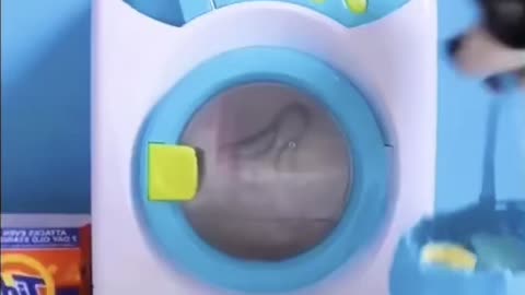 Cute puppy doing clothes in washing machine
