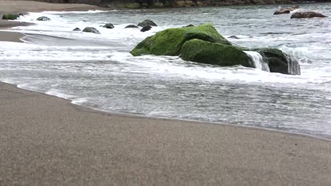 La naturaleza de la playa🌊