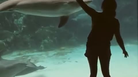 Girl Makes Dolphin Laugh (EXTENDED) ORIGINAL VIDEO