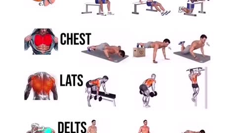 Use this exercise for fat loss workout 💪