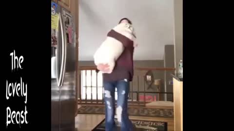 Dog just wanted a hug 🤣😂