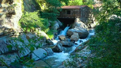 Wide angle shot of a flowing river