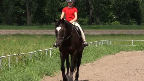 Equestrian sport. Girl on horse