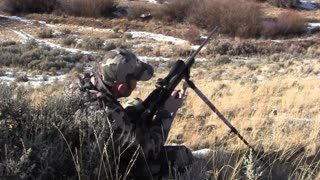 Going to Work on Montana Coyotes - Long Range Hunting