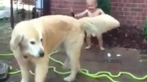 Cute Baby Giggle while spraying Doggie