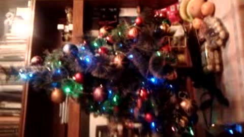 Christmas fir-tree on the table