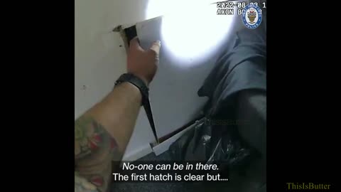 'Hello mate!' Police find suspected car thief hiding in loft