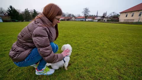 Attractive female caressing cute white dog