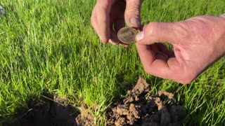 Coins Galore With Minelab Metal Detectors
