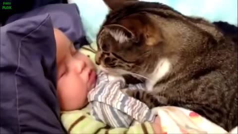 best funny compilation of animal and babies