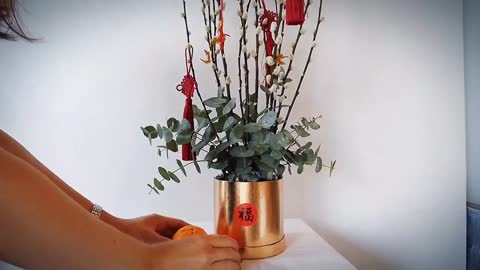DIY Pussy Willow Arrangement Chinese New Year Flowers