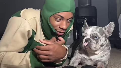 Cremes the French Bulldog Answers the Tough Questions