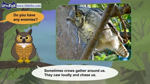 Meet the Animals 7 | Great Horned Owl | Wild Animals | Little Fox | Animated Stories for Kids