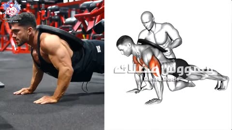 FULL EXERCISE BODYWEIGHT CHEST / TRICEPS workout