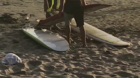 Two shirtless guys stack three surfboards and carries them off beach