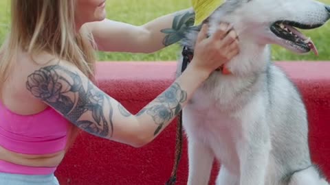 a woman putting a cap on her pet