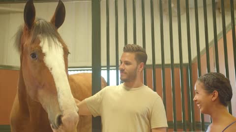 Couple, Two People Petting Clydesdale Horse in Barn