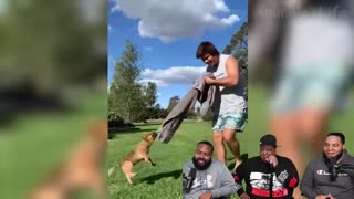 Dog Funniest Animals Video - Try Not To Laugh Animals 2022