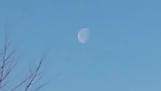 Moon Above Flat Earth 24-7