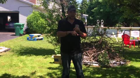 Huge Honeybee Swarm Falls On Man's Head