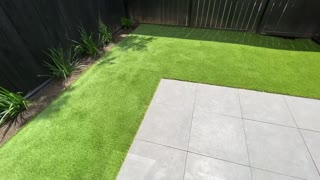 Professional Turf Installers Patio Example 1