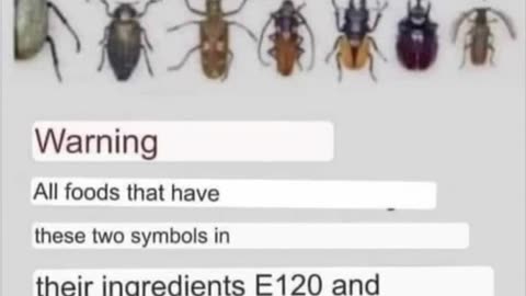 E120 and E904 are additives found in many food products which are obtained from the insects.