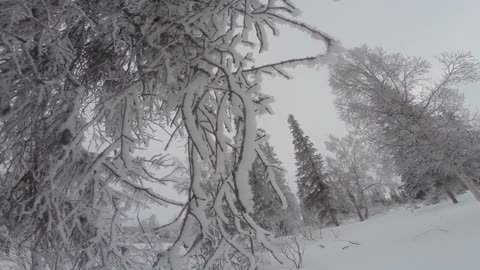 Cabin fills with smoke and the beauty of Alaskan frost