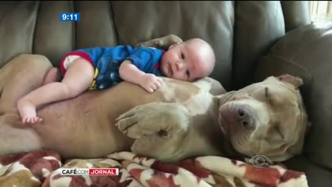 Baby and dog