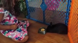 Pet bunny refuses to eat dirty apples