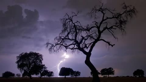 ⚡ Sonido de Lluvia y Truenos ⚡ 4 Horas - Tormenta Fuerte - Relax Lluvia y Truenos para Dormir Rain