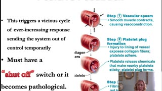 Introduction to Physiology