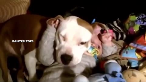 Babies With Dogs Compilation