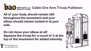 cable one arm tricep pulldown