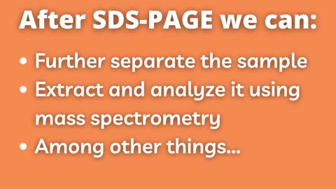 SDS Page - Chemistry/biology