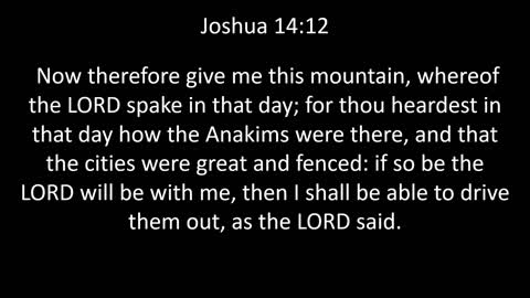 KJV Bible Joshua Chapter 14