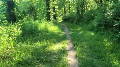 Spring Nature Walk