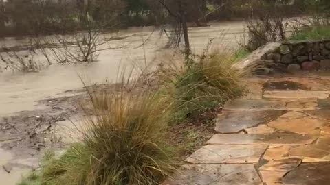 Napa (Oakville) Flooding 1