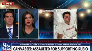 Dana Loesch: Canvasser Assaulted for Supporting Rubio