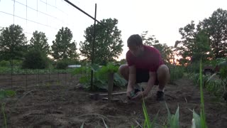 Great and Terrible Gardening s1e18 The Ultimate Garden Experience in Real Time