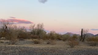 Moonrise 12/29/2020