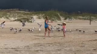 Feeding seagulls Atlantic Beach, NC
