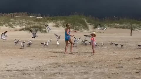 Feeding seagulls Atlantic Beach, NC