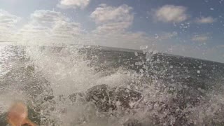 Bottlenose Dolphin Leaps over Kayaker
