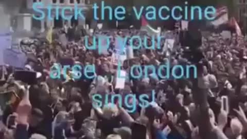 London: Stick that poison vaccine up your arse